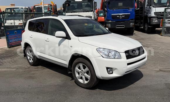 Acheter Import Voiture Toyota RAV4 Blanc à Import - Dubai, Ouganda