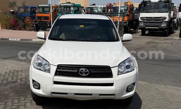 Nunua Imported Toyota RAV4 Nyeupe Gari ndani ya Import - Dubai nchini Uganda Nunua Imported Toyota RAV4 Nyeupe Gari ndani ya Import - Dubai nchini Uganda