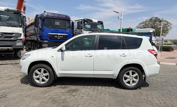 Nunua Imported Toyota RAV4 Nyeupe Gari ndani ya Import - Dubai nchini Uganda Nunua Imported Toyota RAV4 Nyeupe Gari ndani ya Import - Dubai nchini Uganda