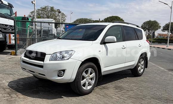 Nunua Imported Toyota RAV4 Nyeupe Gari ndani ya Import - Dubai nchini Uganda Nunua Imported Toyota RAV4 Nyeupe Gari ndani ya Import - Dubai nchini Uganda