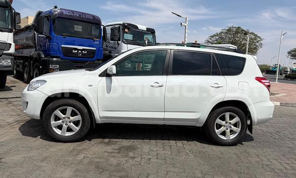 Nunua Imported Toyota RAV4 Nyeupe Gari ndani ya Import - Dubai nchini Uganda Nunua Imported Toyota RAV4 Nyeupe Gari ndani ya Import - Dubai nchini Uganda