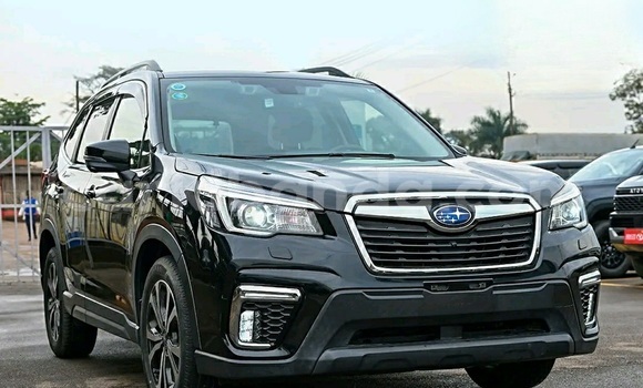 Buy Used Subaru Forester Black Car in Kampala in Uganda Buy Used Subaru Forester Black Car in Kampala in Uganda