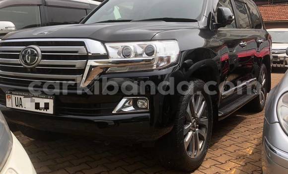 Acheter Neuf Voiture Toyota Land Cruiser Noir à Kampala, Ouganda Acheter Neuf Voiture Toyota Land Cruiser Noir à Kampala, Ouganda