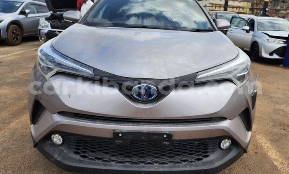 Buy Import Toyota C-HR Silver Car in Kampala in Uganda