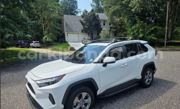 Buy Used Toyota RAV4 White Car in Apac in Northern