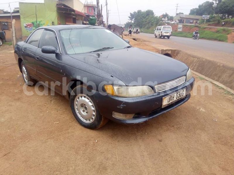 Big with watermark 52987177 2273142649415326 6717845243451932672 n