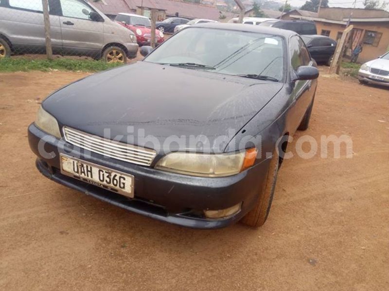 Big with watermark 52527189 2273142892748635 8110862064219586560 n