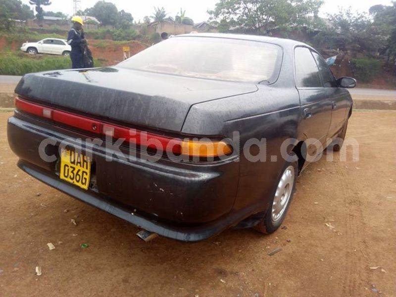 Big with watermark 52469120 2273142826081975 1191391917519142912 n