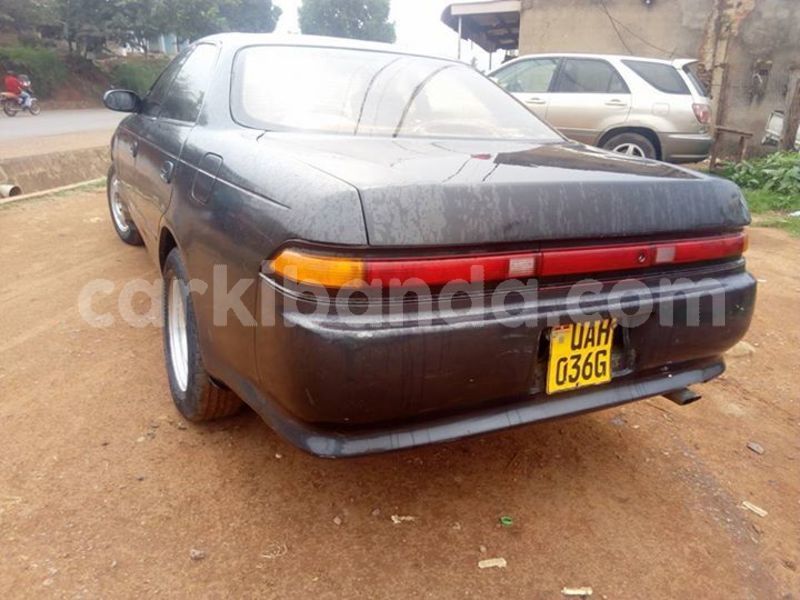 Big with watermark 53361218 2273142802748644 5955392543007965184 n