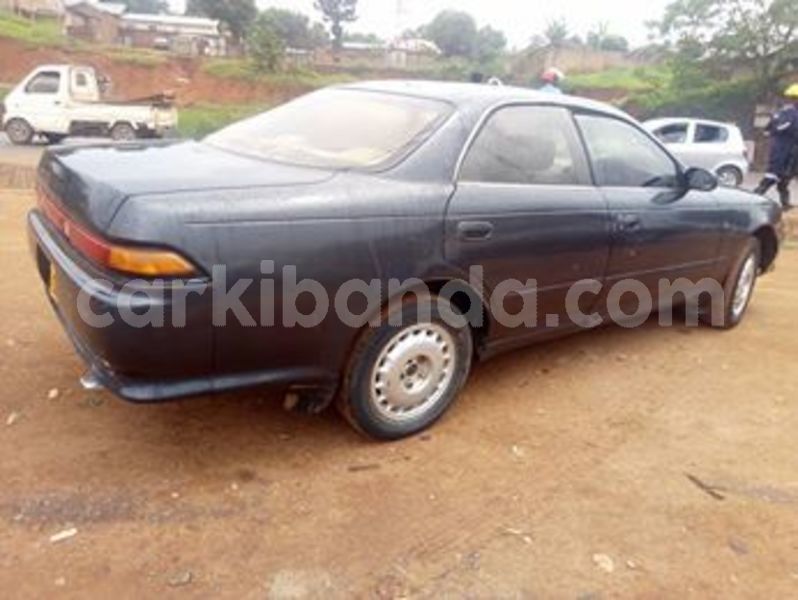 Big with watermark 52460305 2273142616081996 7763031998859313152 n