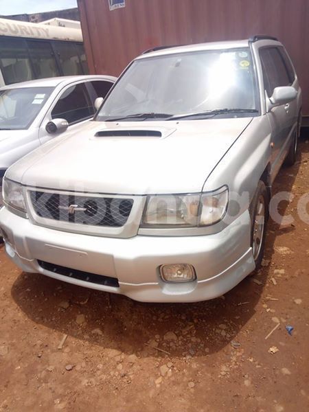 Big with watermark 52713023 2270076809721910 7424637654525804544 n