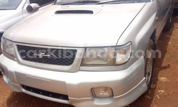 Buy Used Subaru Forester Silver Car in Kampala in Uganda Buy Used Subaru Forester Silver Car in Kampala in Uganda