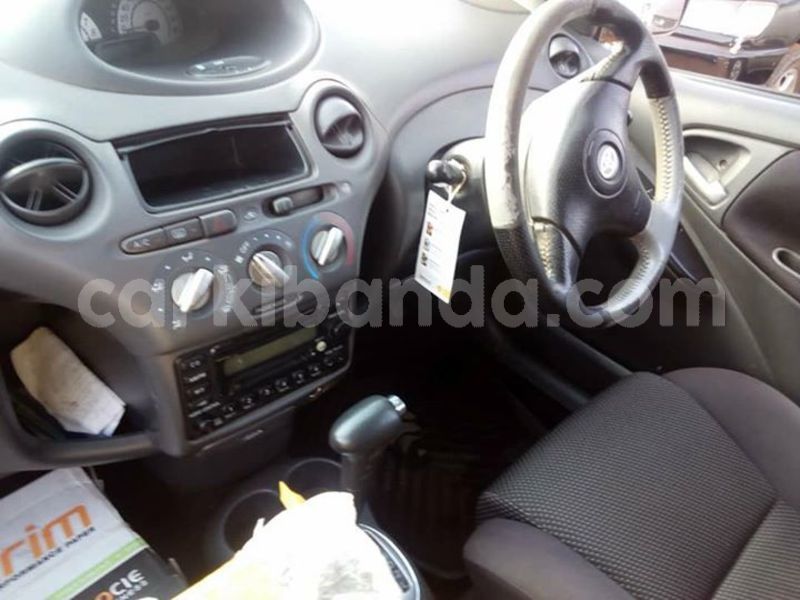 Big with watermark 52561516 2270027126393545 5244626608580460544 n