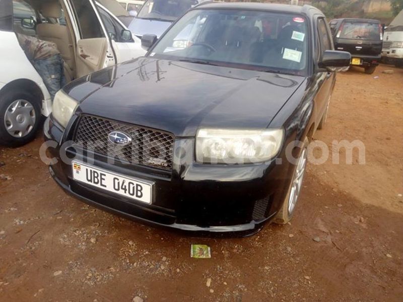 Big with watermark 52451594 2266163556779902 9140953809172824064 n