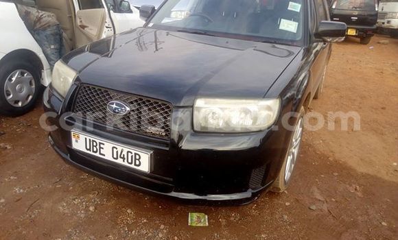 Buy Used Subaru Forester Black Car in Kampala in Uganda Buy Used Subaru Forester Black Car in Kampala in Uganda