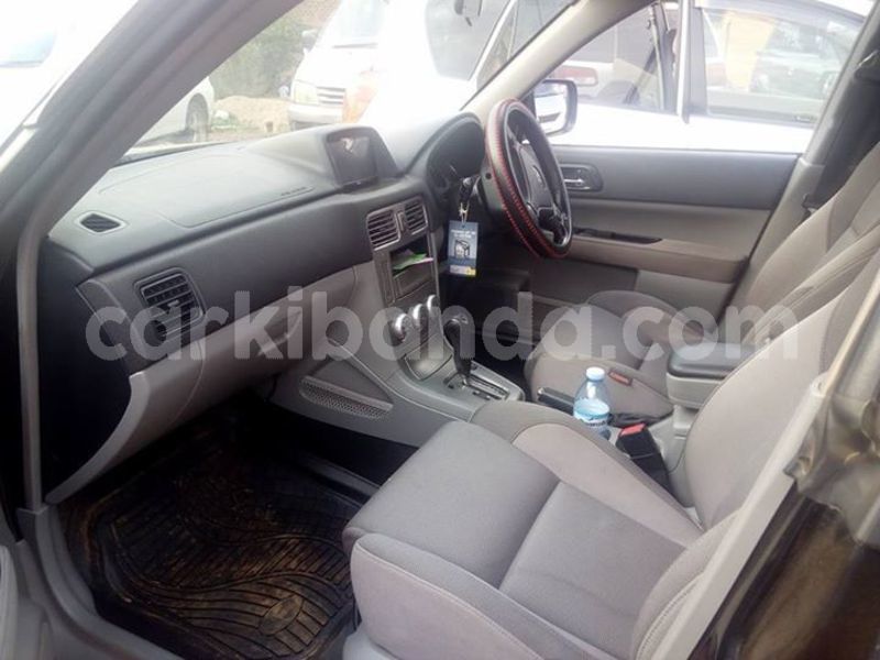 Big with watermark 51933358 2266163586779899 9202992756337672192 n