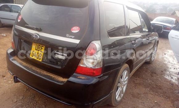 Buy Used Subaru Forester Black Car in Kampala in Uganda Buy Used Subaru Forester Black Car in Kampala in Uganda