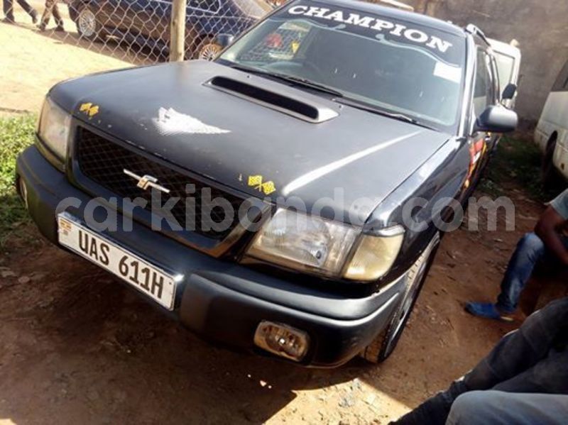 Big with watermark 52389998 2265397103523214 5634215180670861312 n