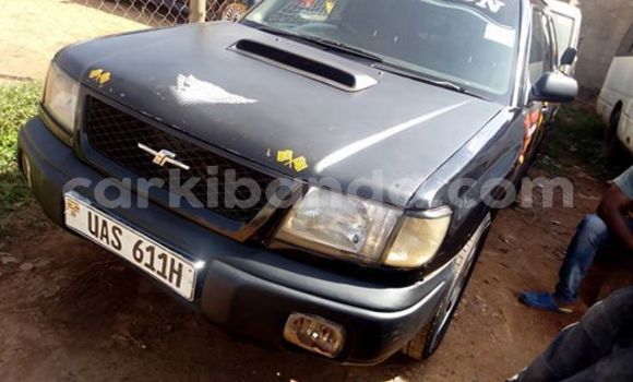 Buy Used Subaru Forester Black Car in Kampala in Uganda Buy Used Subaru Forester Black Car in Kampala in Uganda