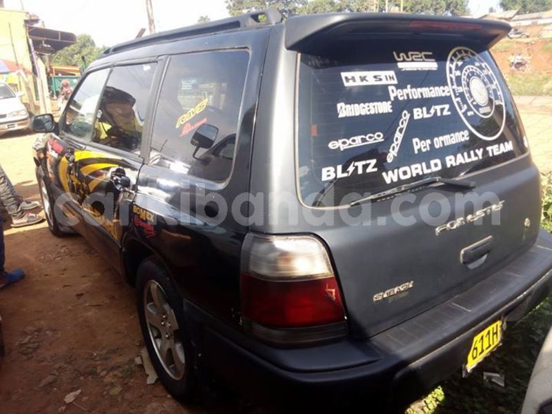 Big with watermark 52303476 2265397123523212 2099501072233005056 n