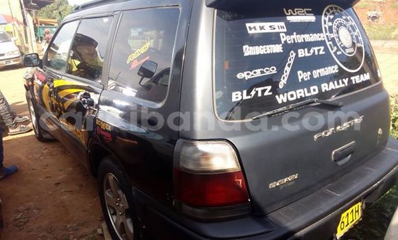 Buy Used Subaru Forester Black Car in Kampala in Uganda Buy Used Subaru Forester Black Car in Kampala in Uganda