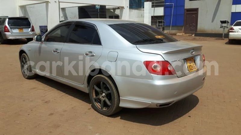 Big with watermark 53203674 2201102833541614 872283767346036736 n