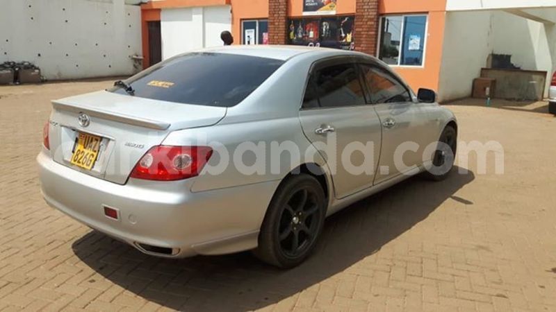 Big with watermark 53482169 2201102793541618 4226876082785091584 n