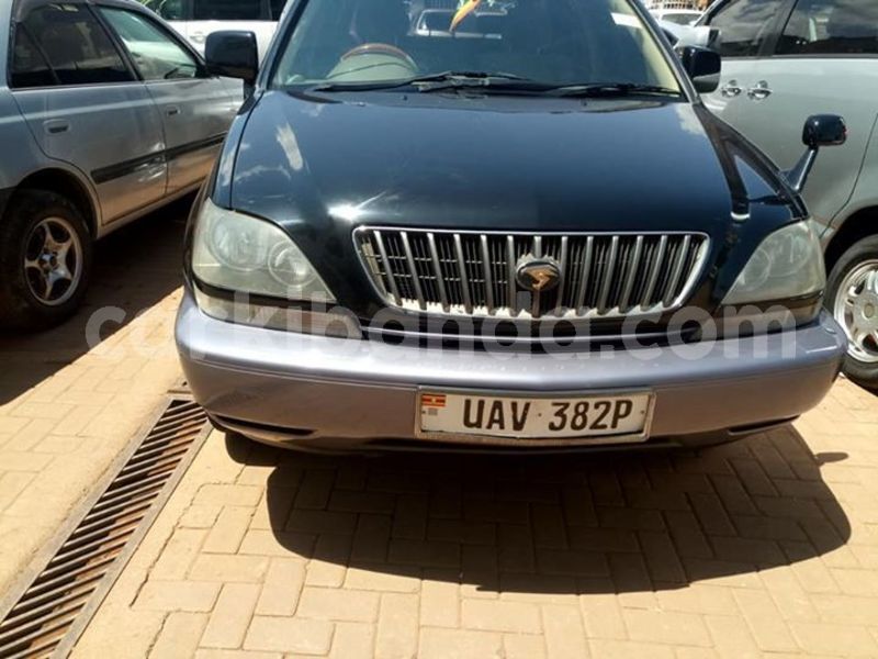 Big with watermark 53385681 2200748096910421 3542233127294337024 n