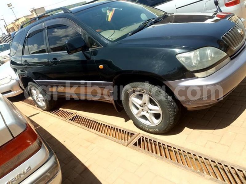 Big with watermark 53506249 2200748126910418 6104437928337866752 n