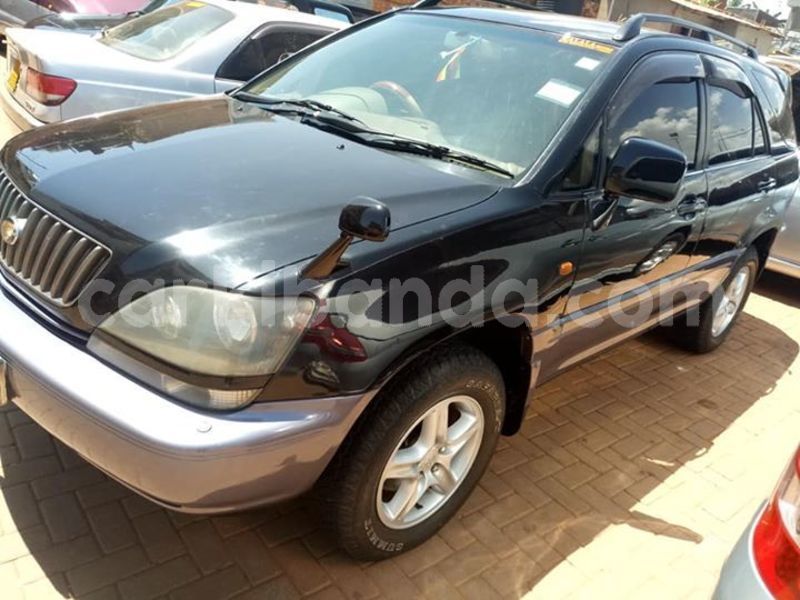 Big with watermark 53419602 2200748160243748 1897687276322816000 n