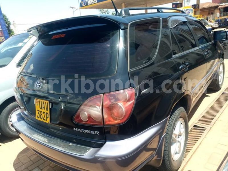 Big with watermark 52964792 2200748210243743 6232173545665855488 n