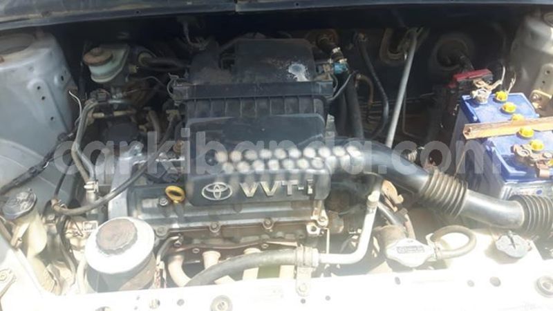 Big with watermark 53179917 2200046760313888 6020485430963601408 n