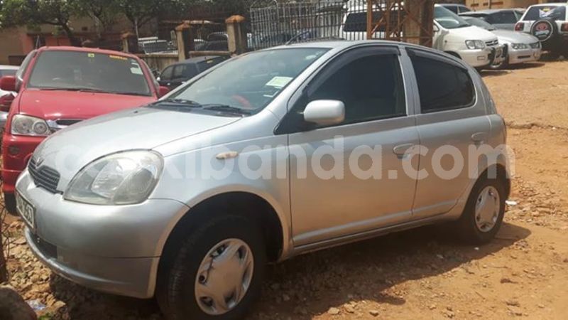 Big with watermark 53747517 2200046810313883 8695215033677774848 n