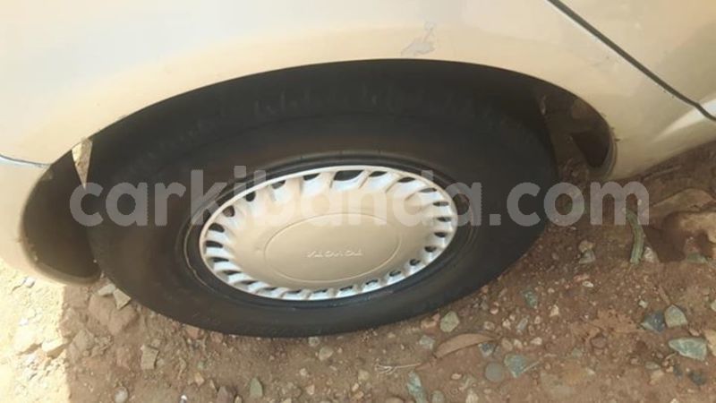 Big with watermark 53100468 2200046943647203 6489319847632044032 n