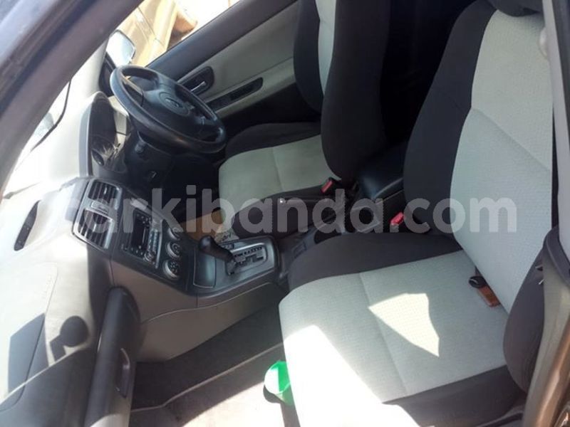 Big with watermark 53377824 2198366093815288 8488035857247240192 n