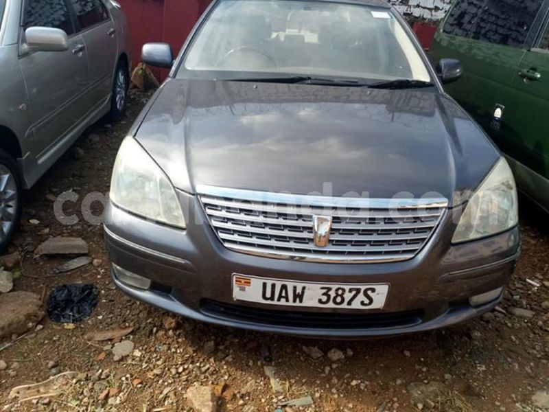 Big with watermark 53608566 2197739563877941 5799254044958523392 n