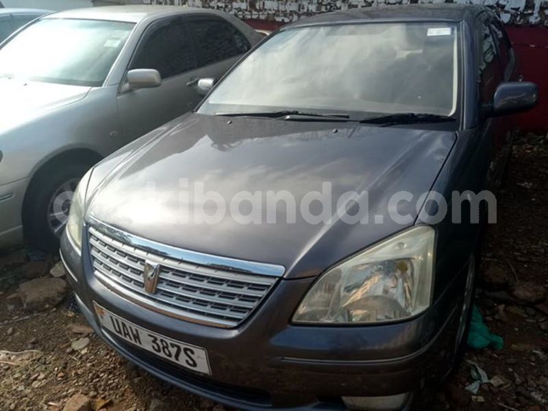 Big with watermark 52713791 2197739707211260 7631293974522626048 n