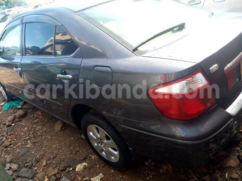 Big with watermark 53376275 2197739790544585 7734812328557805568 n