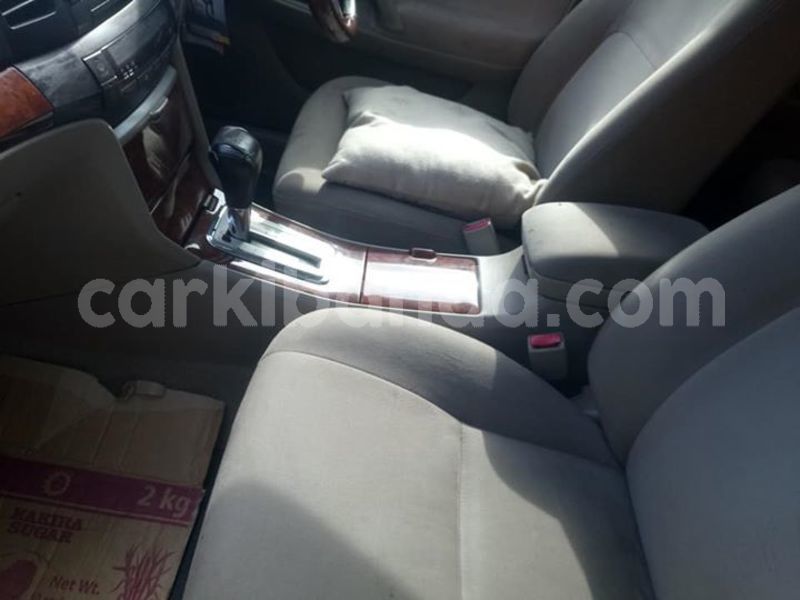 Big with watermark 52922854 2197739997211231 5706857375592349696 n