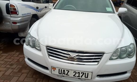 Buy Used Toyota Mark X White Car in Kampala in Uganda Buy Used Toyota Mark X White Car in Kampala in Uganda