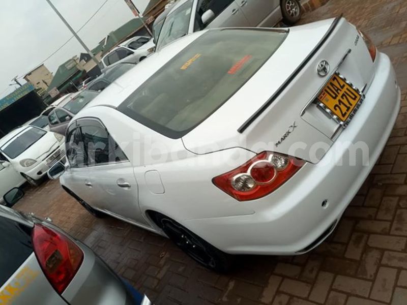 Big with watermark 53010657 2197115123940385 5437371181613187072 n