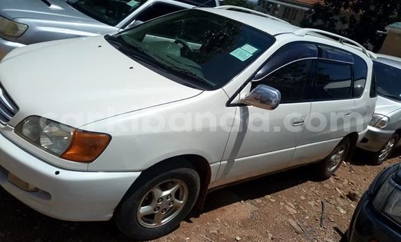 Buy Used Toyota Ipsum White Car in Kampala in Uganda Buy Used Toyota Ipsum White Car in Kampala in Uganda