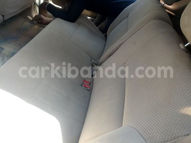 Big with watermark 52920387 2196499910668573 7239009747813269504 n