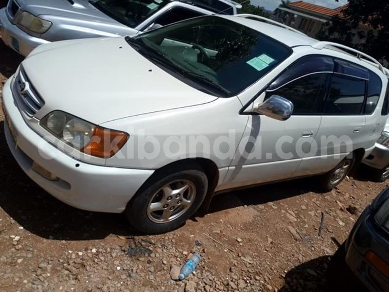 Big with watermark 52762309 2196500014001896 7334850727547764736 n