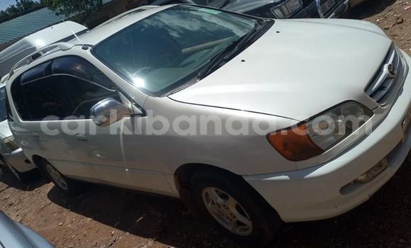 Buy Used Toyota Ipsum White Car in Kampala in Uganda Buy Used Toyota Ipsum White Car in Kampala in Uganda