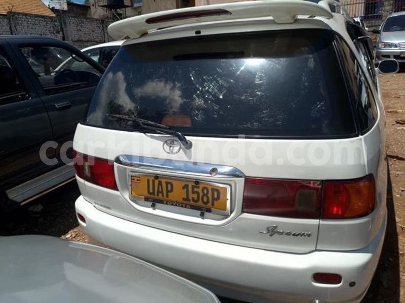 Big with watermark 52938763 2196500127335218 3372880479458951168 n