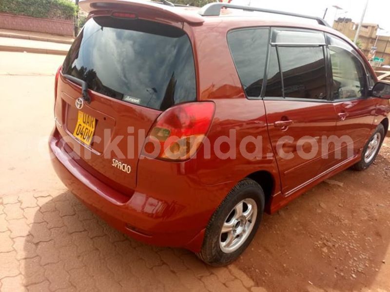 Big with watermark 52498791 2193135667671664 6666588296287617024 n