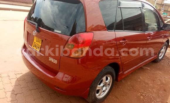 Buy Used Toyota Spacio Red Car in Kampala in Uganda Buy Used Toyota Spacio Red Car in Kampala in Uganda