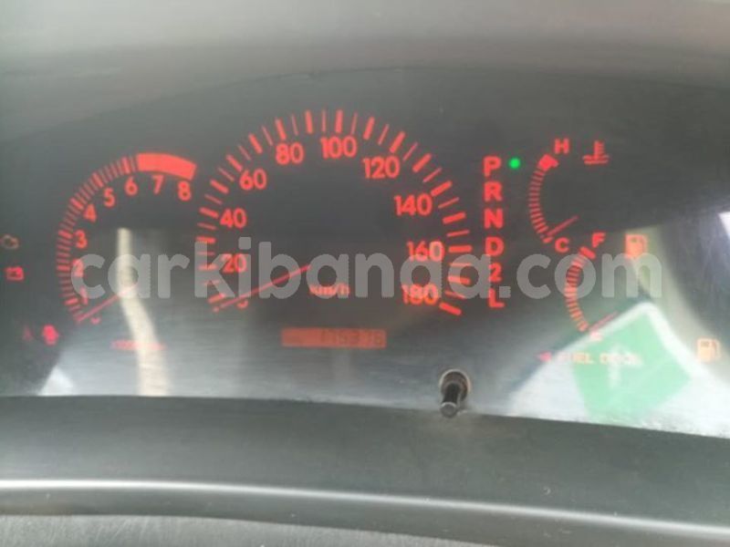 Big with watermark 52605524 2193135004338397 4142535487870992384 n