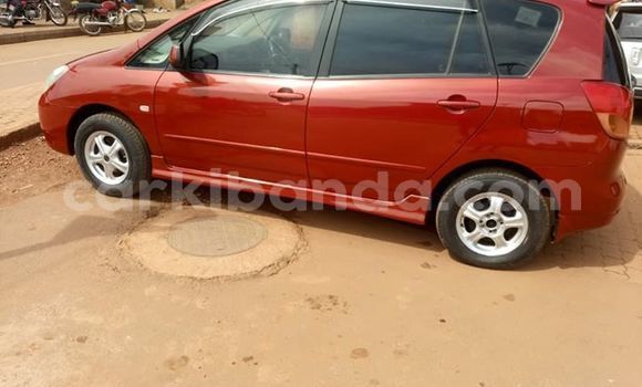 Buy Used Toyota Spacio Red Car in Kampala in Uganda Buy Used Toyota Spacio Red Car in Kampala in Uganda